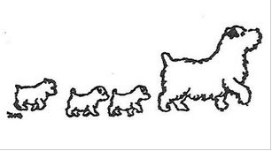 Dralion Kennels logo - 1975 Elisabeth Matell Cracknor Norfolk Terrier sketch