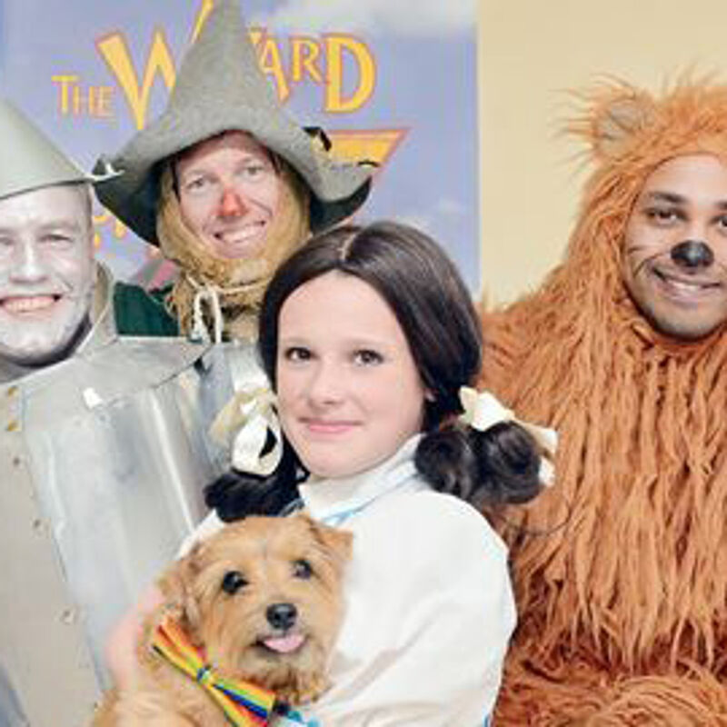 Dralion Kennels - Terrier joy