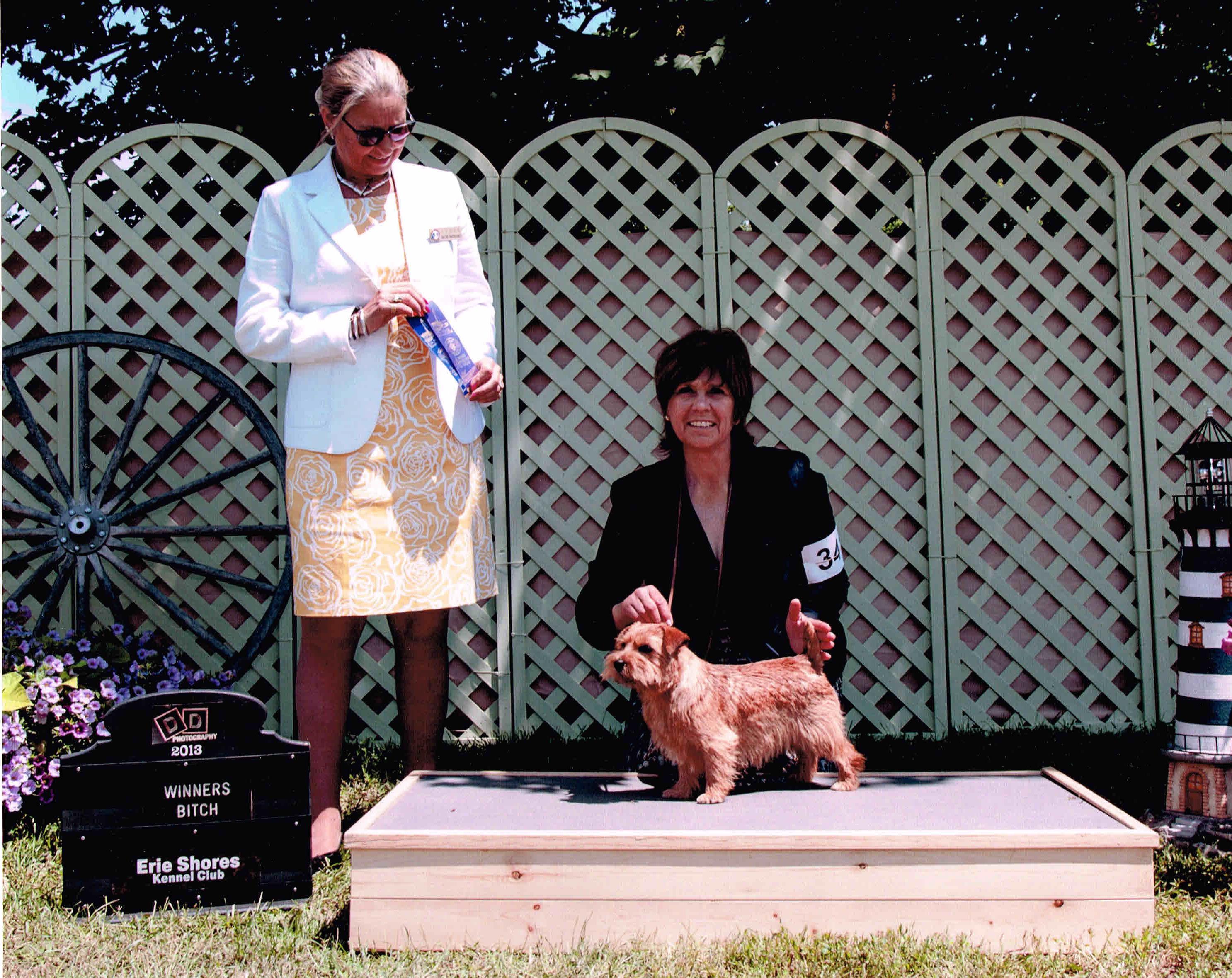 Baden - CH Dralion's Red Skye at Night