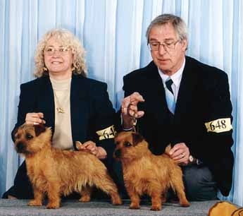 Becka - Amer/Can CH Dralions Beckoning Obsession RD