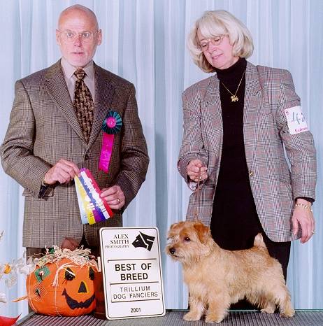 Emma - Amer/Can CH Jaeva Dancing Lesson RD