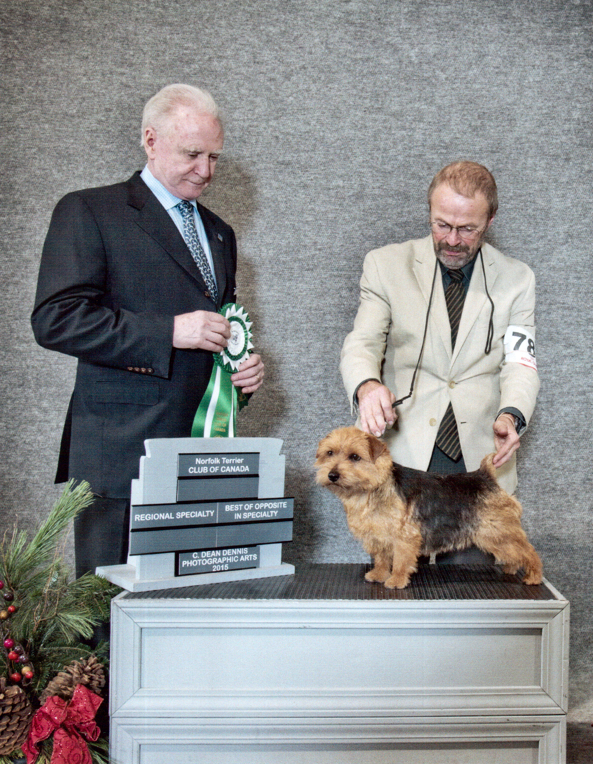 Fergie - CH Dralion's Sweet Fergalicious