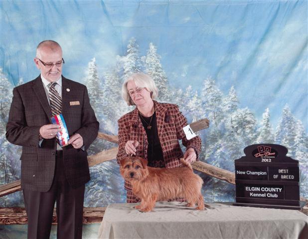 Genna - CH Dralion's Legend of the Dance