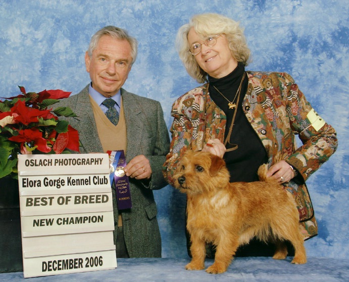 Liesl - CH Dralion's Red Skye at Dawn