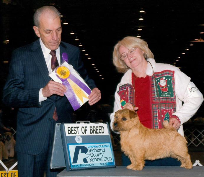 Lucy - Amer/Can CH Dralion's Lucy in the Sky