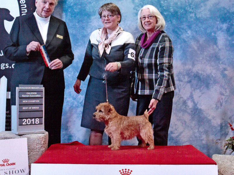 Norfolk Retired - Group 1