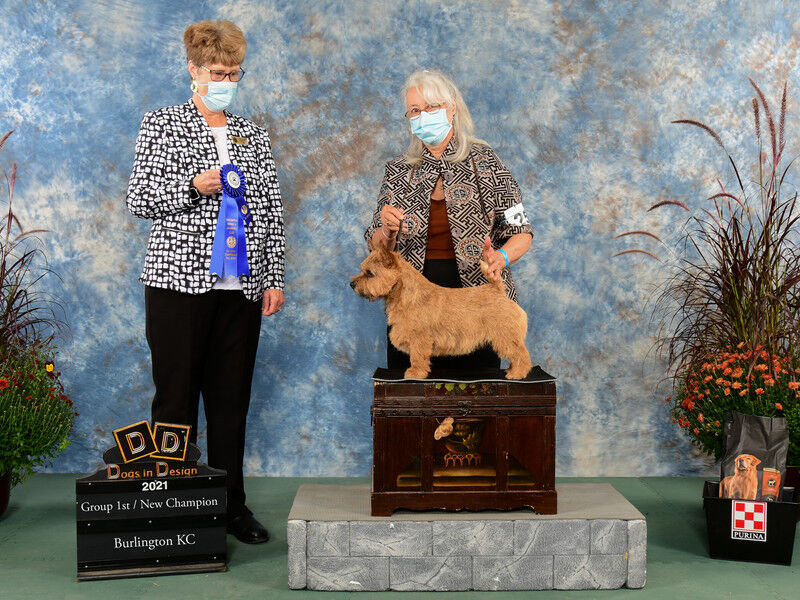 Jackson - Dralion's Man in the Mirror