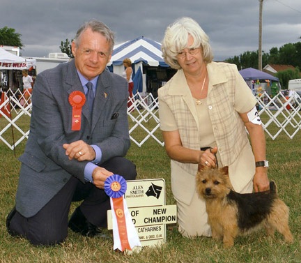 Ebony - Amer Can Ch. Dralion's Ebony Eyes