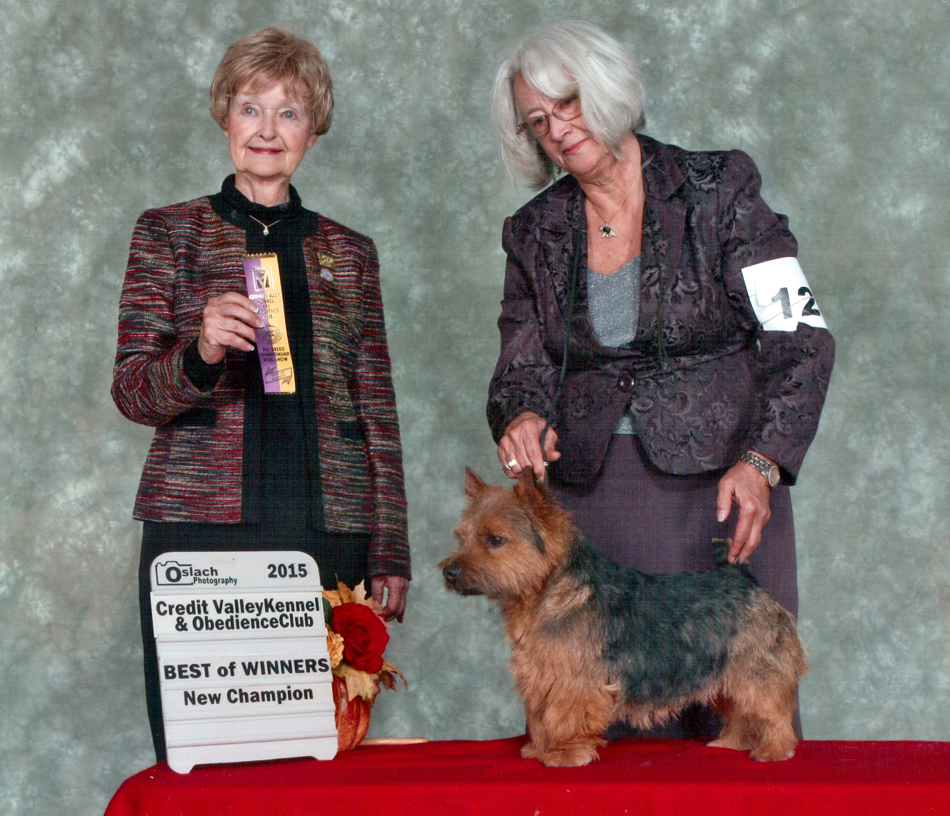 Ozzy - CH Dralion's Wizard of Ozz