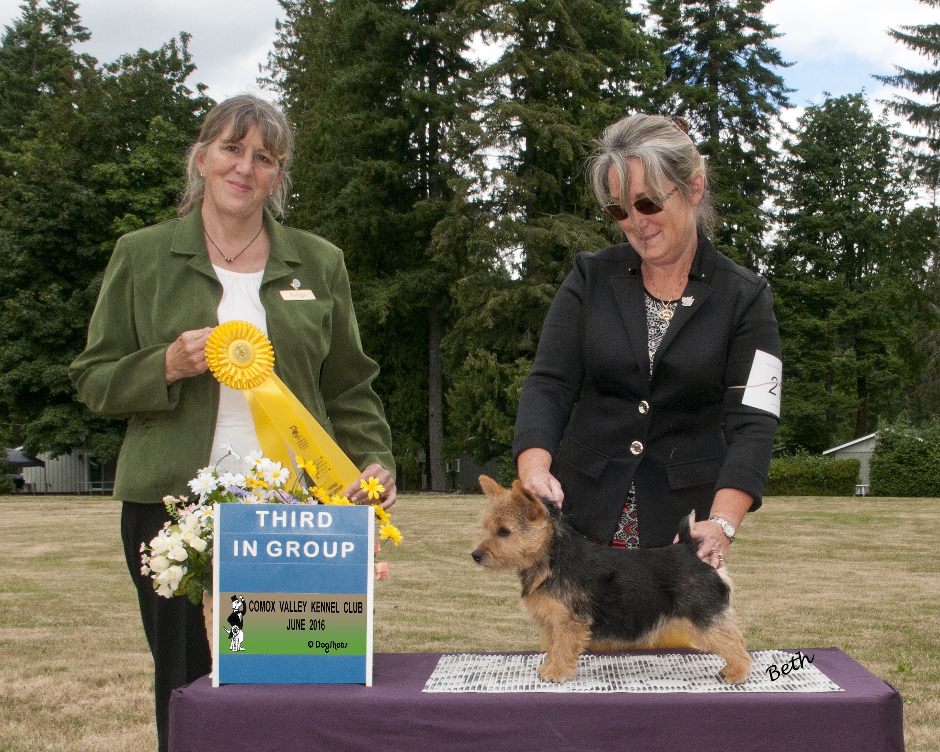 Piper - CH Amblegreen Dark Matter